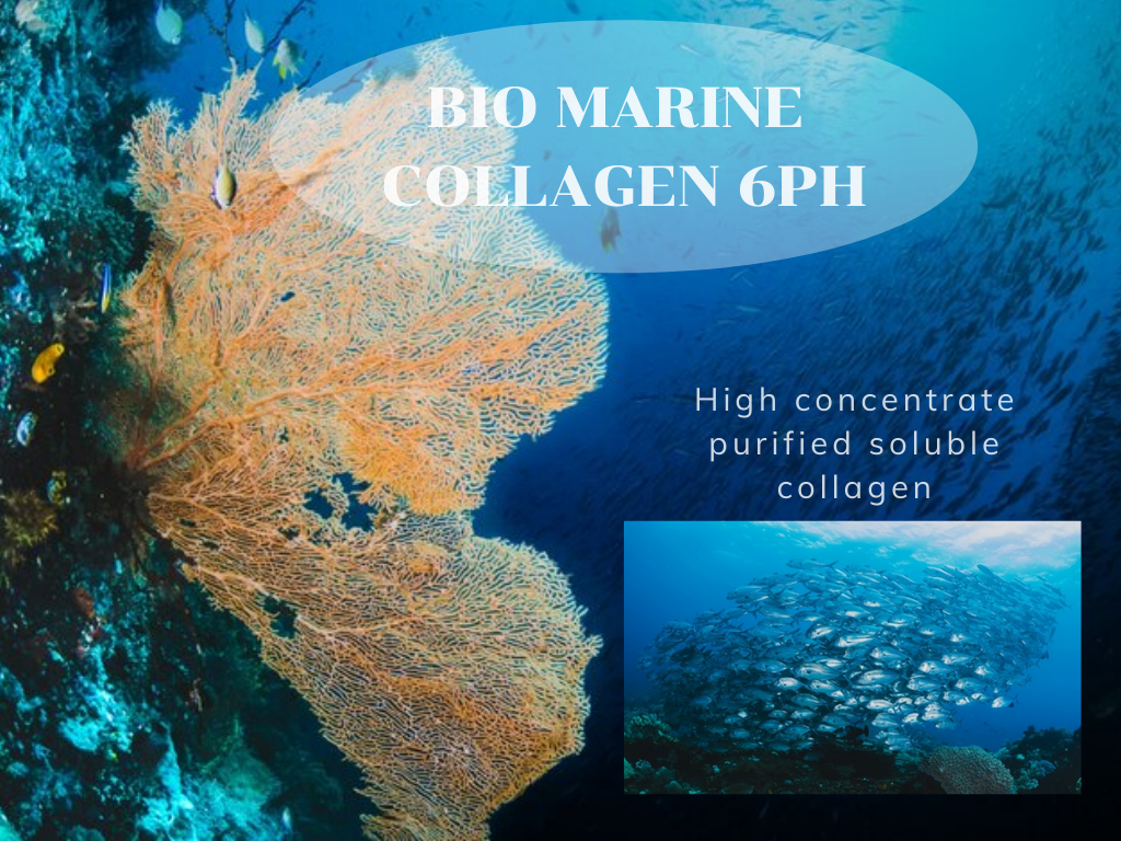 Bio Marine Collagen6PH เป็น Soluble Collagen จาก Marine Origin กลิ่นคาวน้อย ช่วยให้ผิวเนียน นุ่ม ชุ่มชื้น ตึงกระชับ